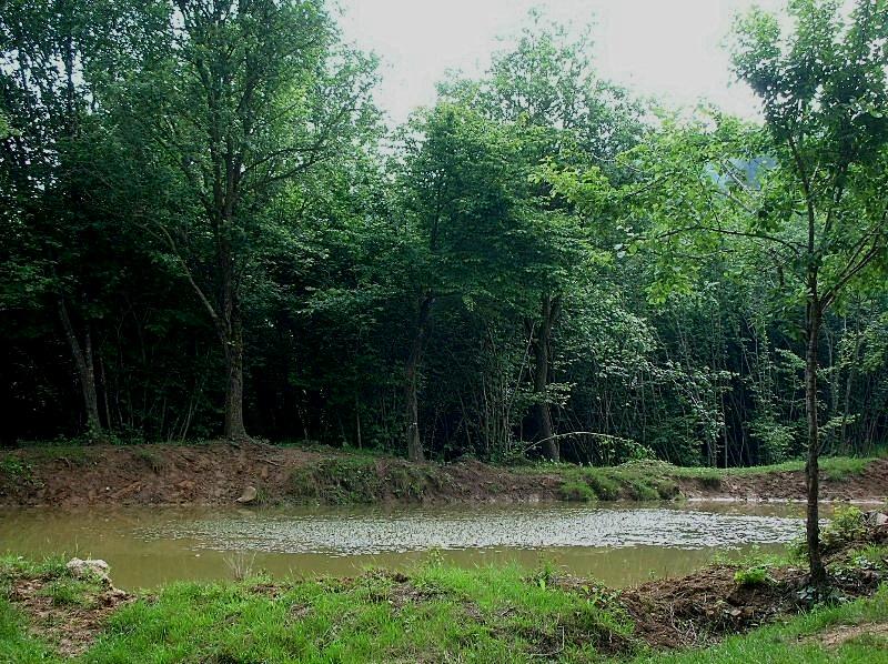Una gitarella all''Altopiano di Caradeghe (Bs)